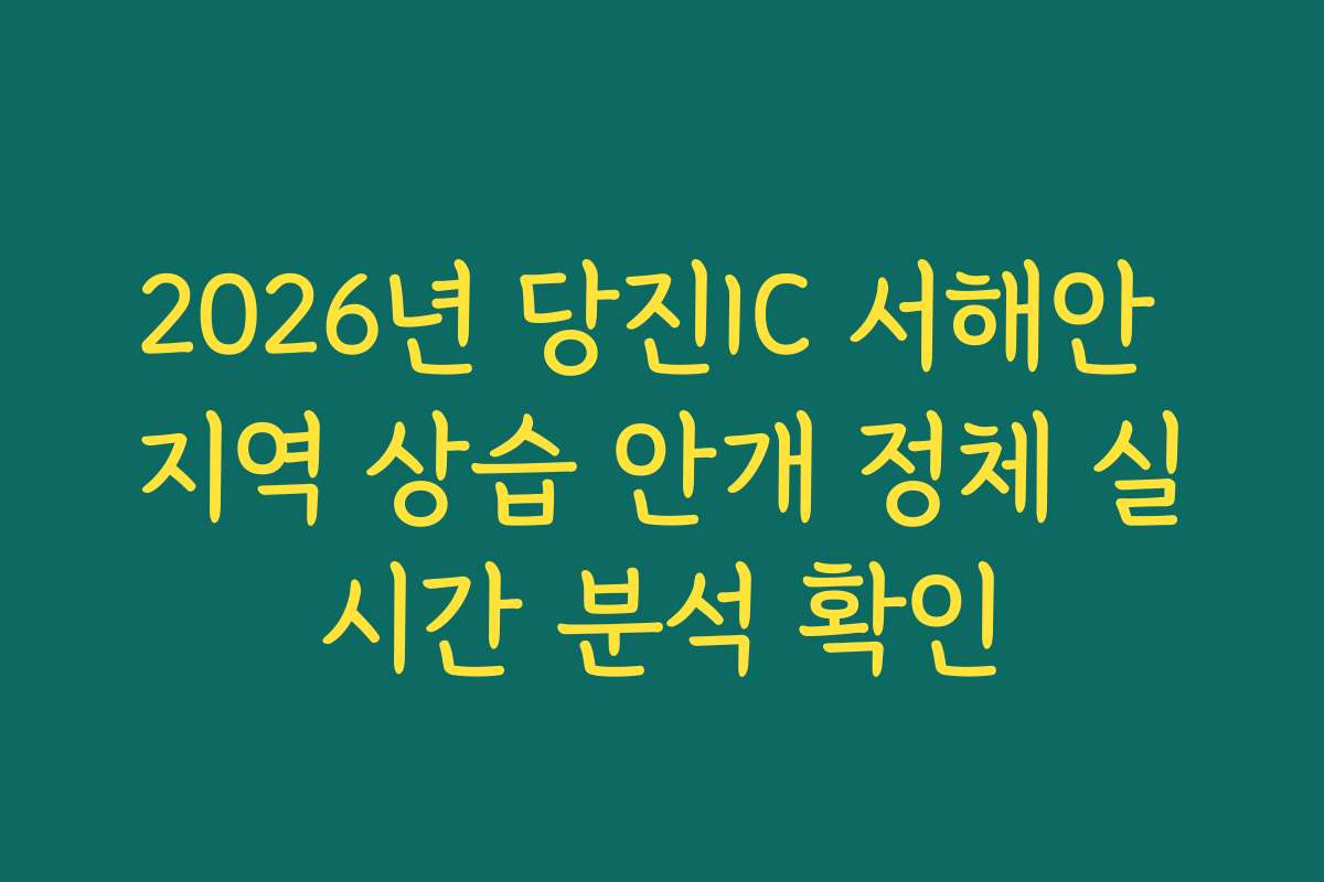 2026년 당진IC 서해안 지역 상습 안개 정체 실시간 분석 확인