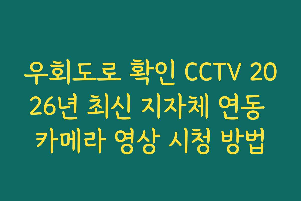우회도로 확인 CCTV 2026년 최신 지자체 연동 카메라 영상 시청 방법