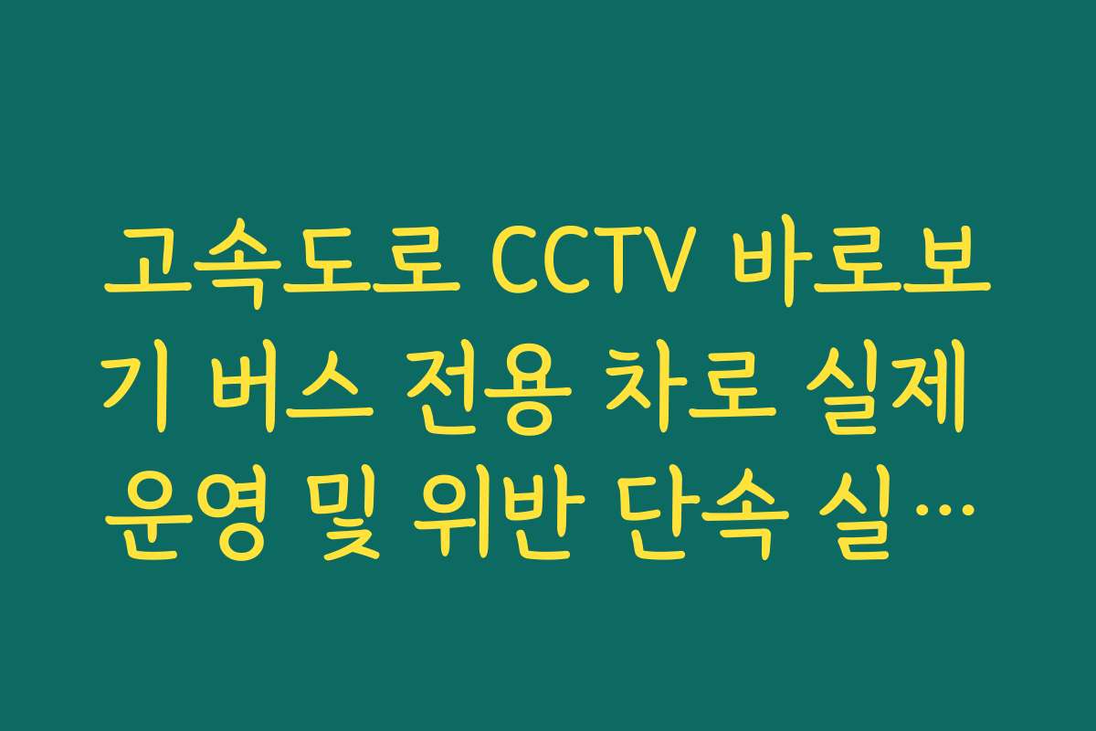 고속도로 CCTV 바로보기 버스 전용 차로 실제 운영 및 위반 단속 실시간 보기