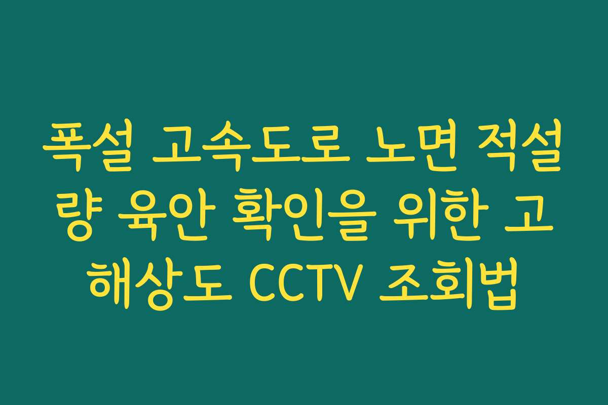 폭설 고속도로 노면 적설량 육안 확인을 위한 고해상도 CCTV 조회법