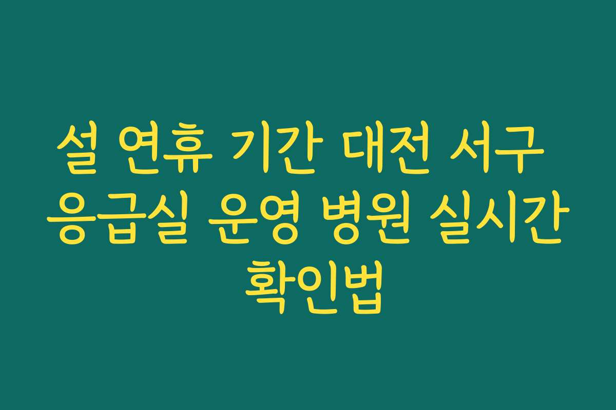 설 연휴 기간 대전 서구 응급실 운영 병원 실시간 확인법