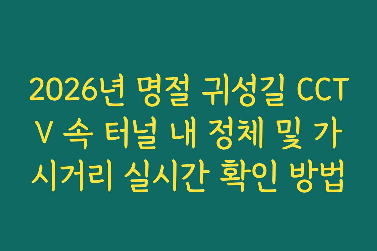 2026년 명절 귀성길 CCTV 속 터널 내 정체 및 가시거리 실시간 확인 방법