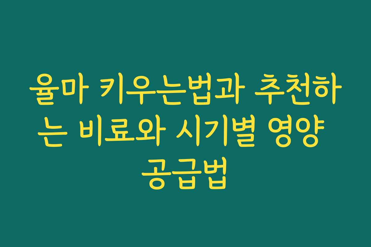 율마 키우는법과 추천하는 비료와 시기별 영양 공급법