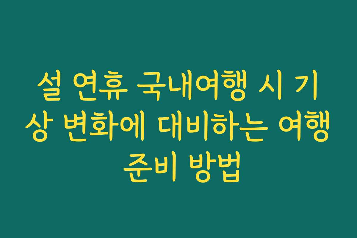 설 연휴 국내여행 시 기상 변화에 대비하는 여행 준비 방법