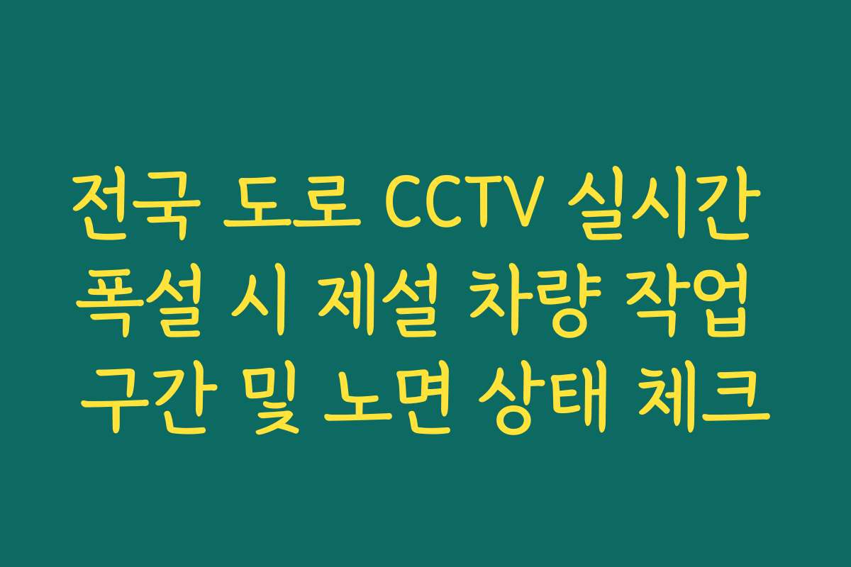 전국 도로 CCTV 실시간 폭설 시 제설 차량 작업 구간 및 노면 상태 체크 전국 도로 CCTV 실시간 폭설 시 제설 차량 작업 구간 및 노면 상태 체크