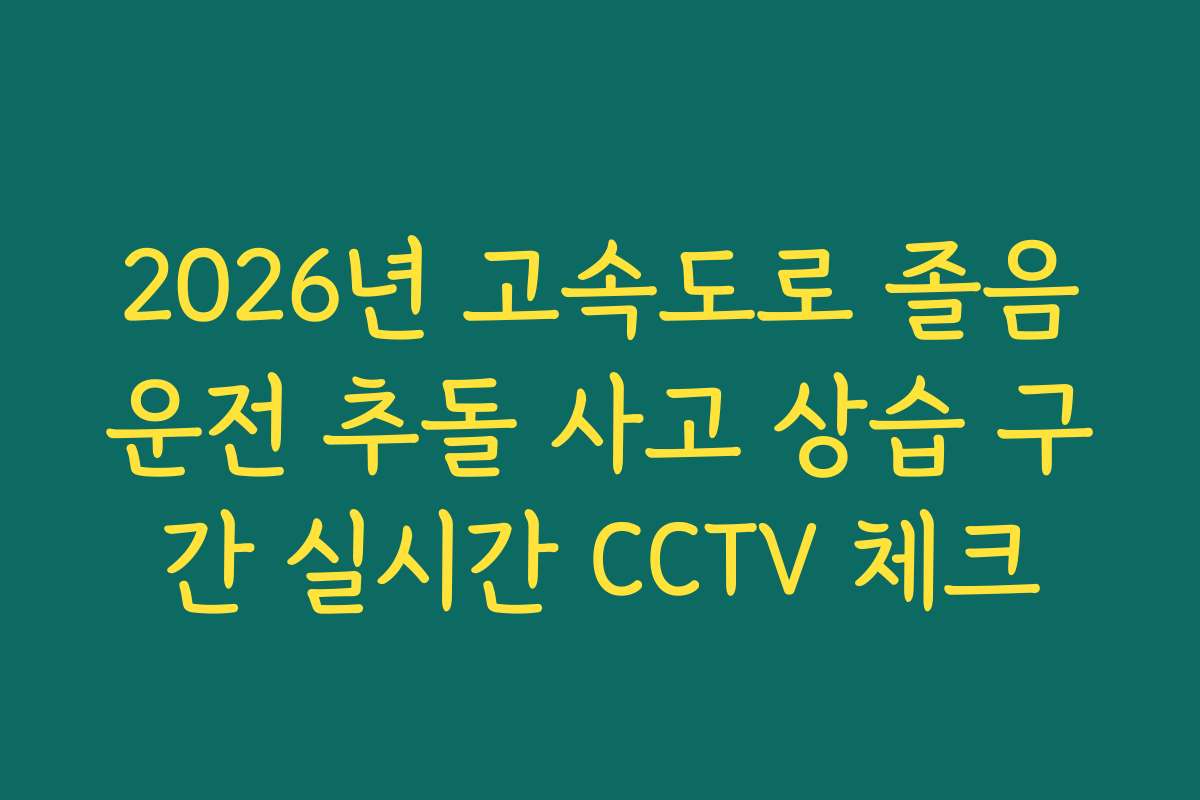 2026년 고속도로 졸음운전 추돌 사고 상습 구간 실시간 CCTV 체크