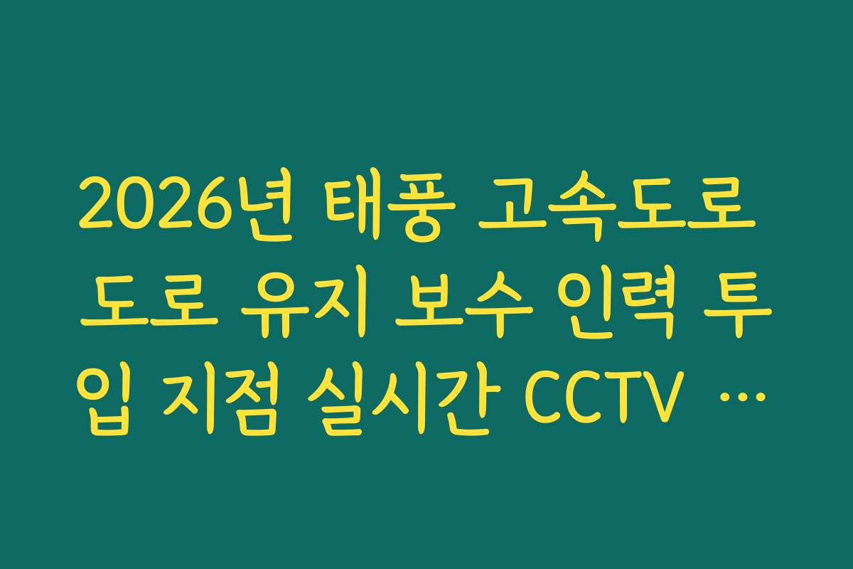 2026년 태풍 고속도로 도로 유지 보수 인력 투입 지점 실시간 CCTV 확인