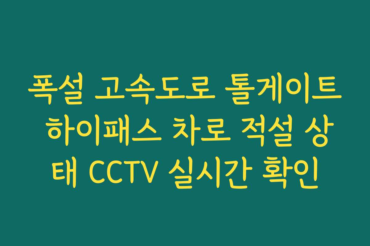 폭설 고속도로 톨게이트 하이패스 차로 적설 상태 CCTV 실시간 확인 폭설 고속도로 톨게이트 하이패스 차로 적설 상태 CCTV 실시간 확인