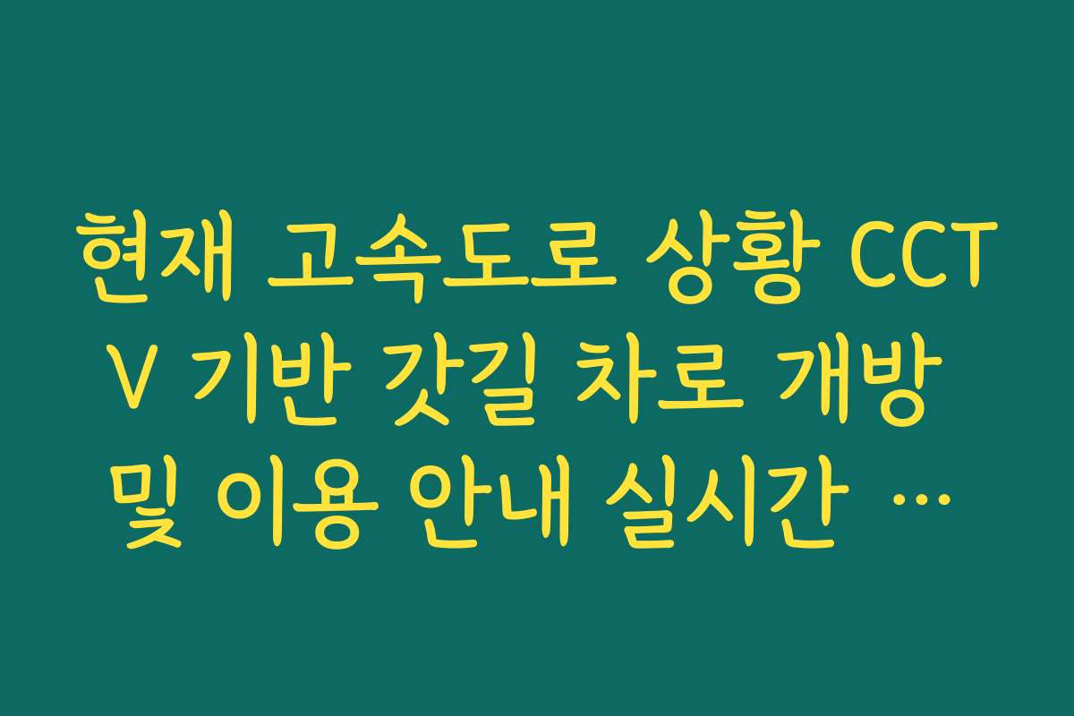 현재 고속도로 상황 CCTV 기반 갓길 차로 개방 및 이용 안내 실시간 확인