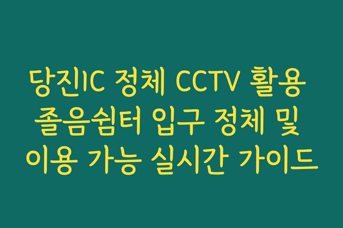 당진IC 정체 CCTV 활용 졸음쉼터 입구 정체 및 이용 가능 실시간 가이드 당진IC 정체 CCTV 활용 졸음쉼터 입구 정체 및 이용 가능 실시간 가이드