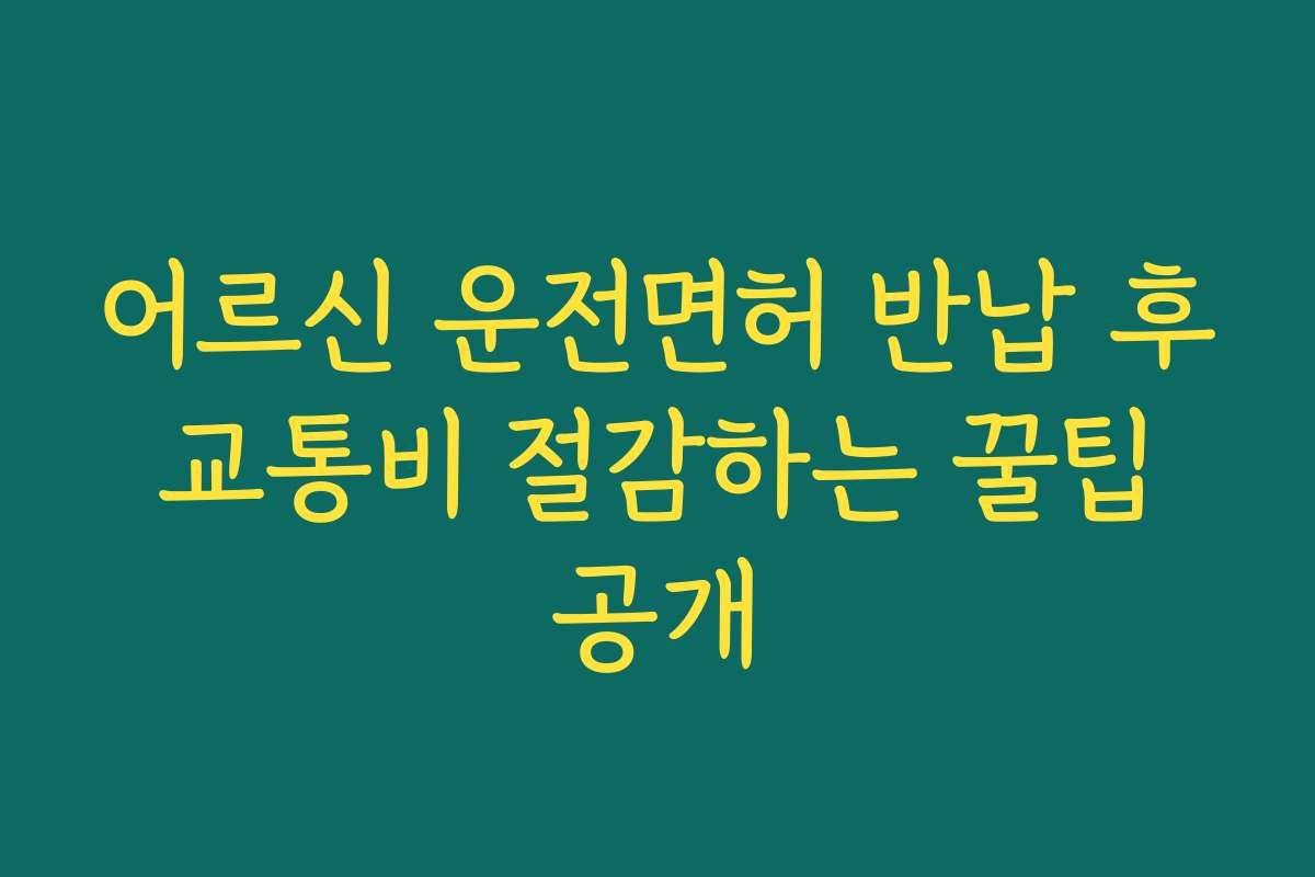 어르신 운전면허 반납 후 교통비 절감하는 꿀팁 공개
