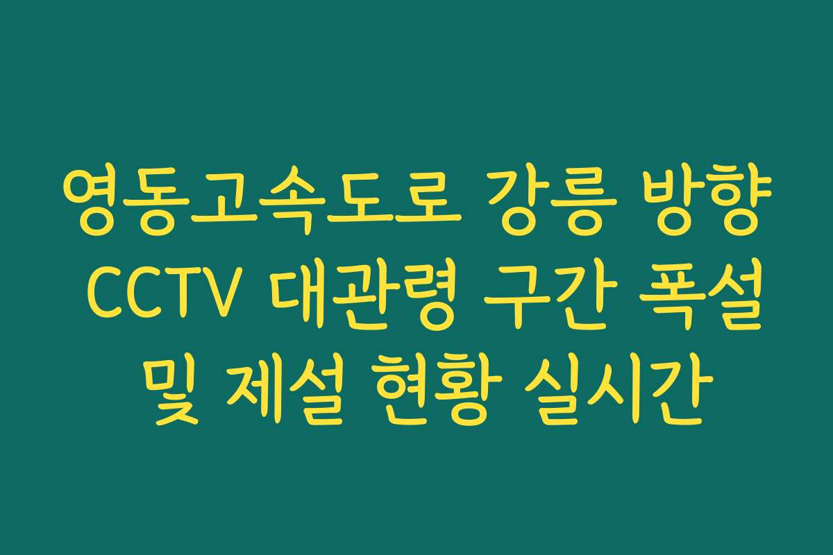 영동고속도로 강릉 방향 CCTV 대관령 구간 폭설 및 제설 현황 실시간 영동고속도로 강릉 방향 CCTV 대관령 구간 폭설 및 제설 현황 실시간