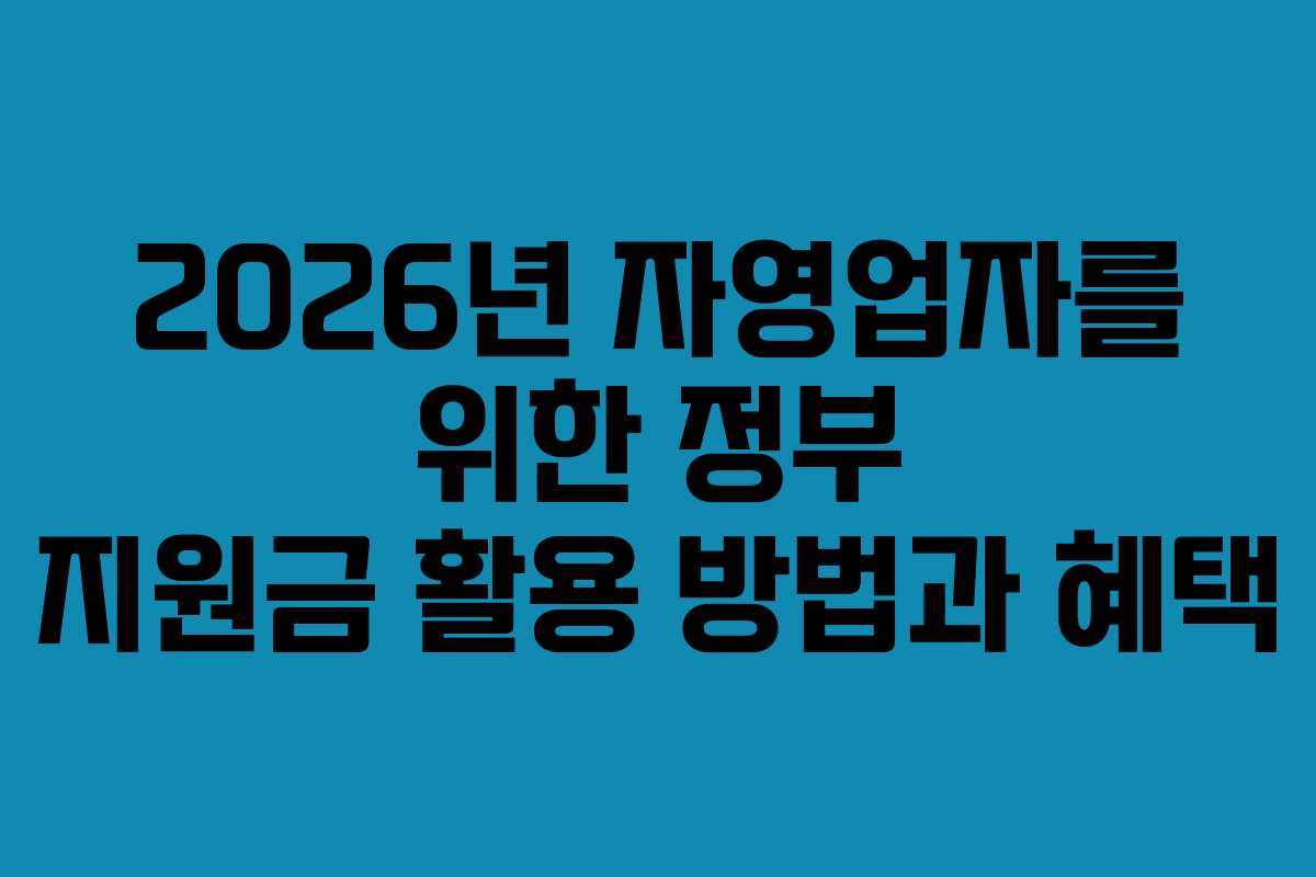 2026년 자영업자를 위한 정부 지원금 활용 방법과 혜택