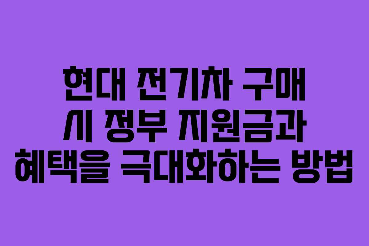 현대 전기차 구매 시 정부 지원금과 혜택을 극대화하는 방법