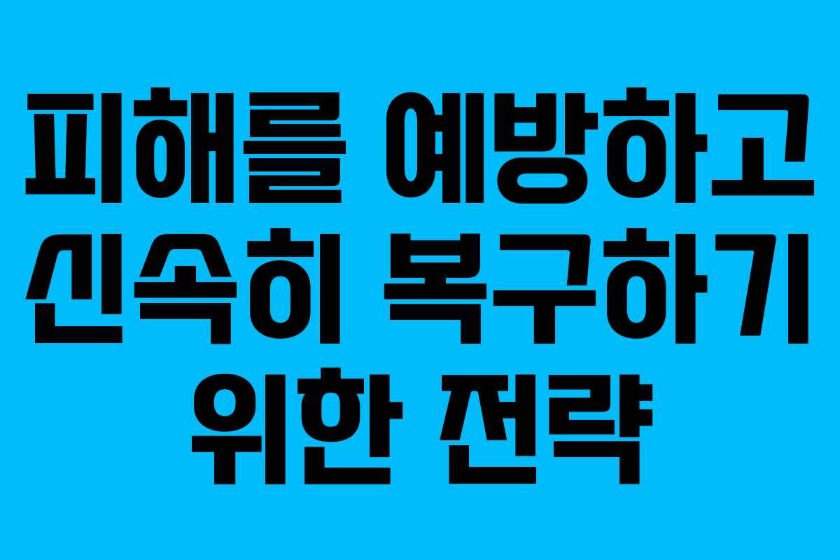 피해를 예방하고 신속히 복구하기 위한 전략