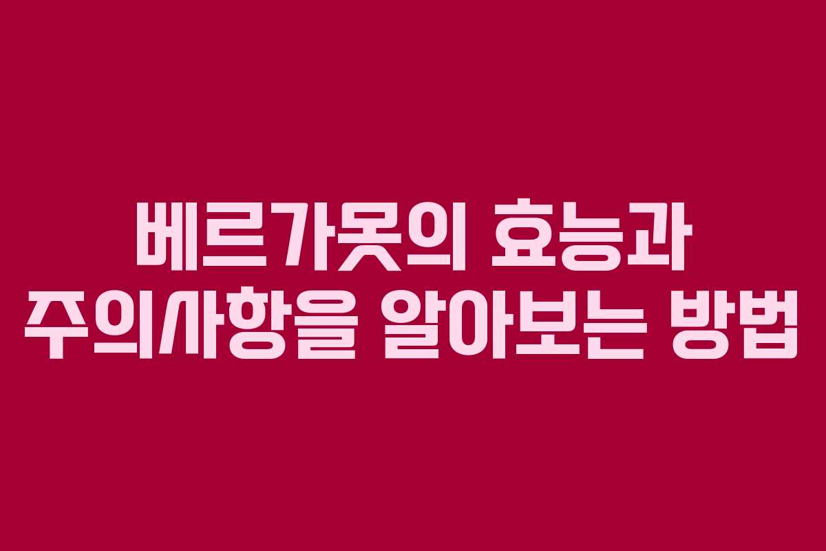 베르가못의 효능과 주의사항을 알아보는 방법