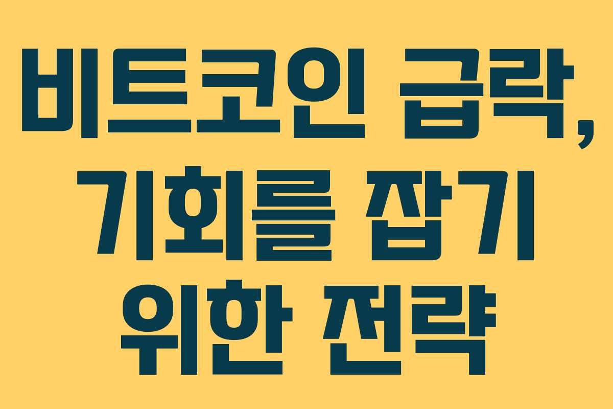 비트코인 급락, 기회를 잡기 위한 전략 비트코인 급락, 기회를 잡기 위한 전략
