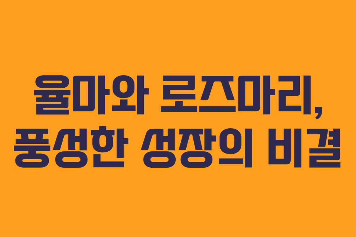 율마와 로즈마리, 풍성한 성장의 비결