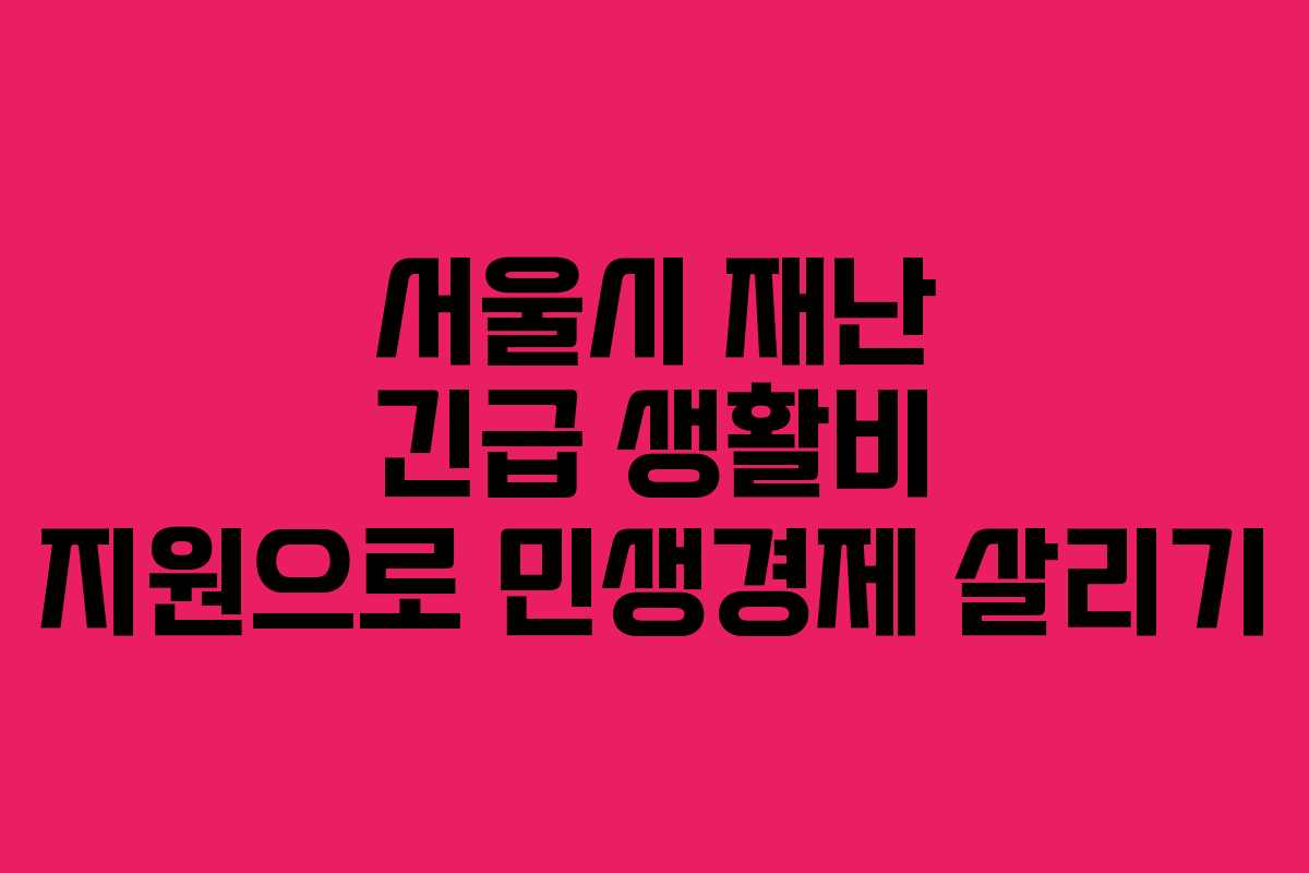 서울시 재난 긴급 생활비 지원으로 민생경제 살리기