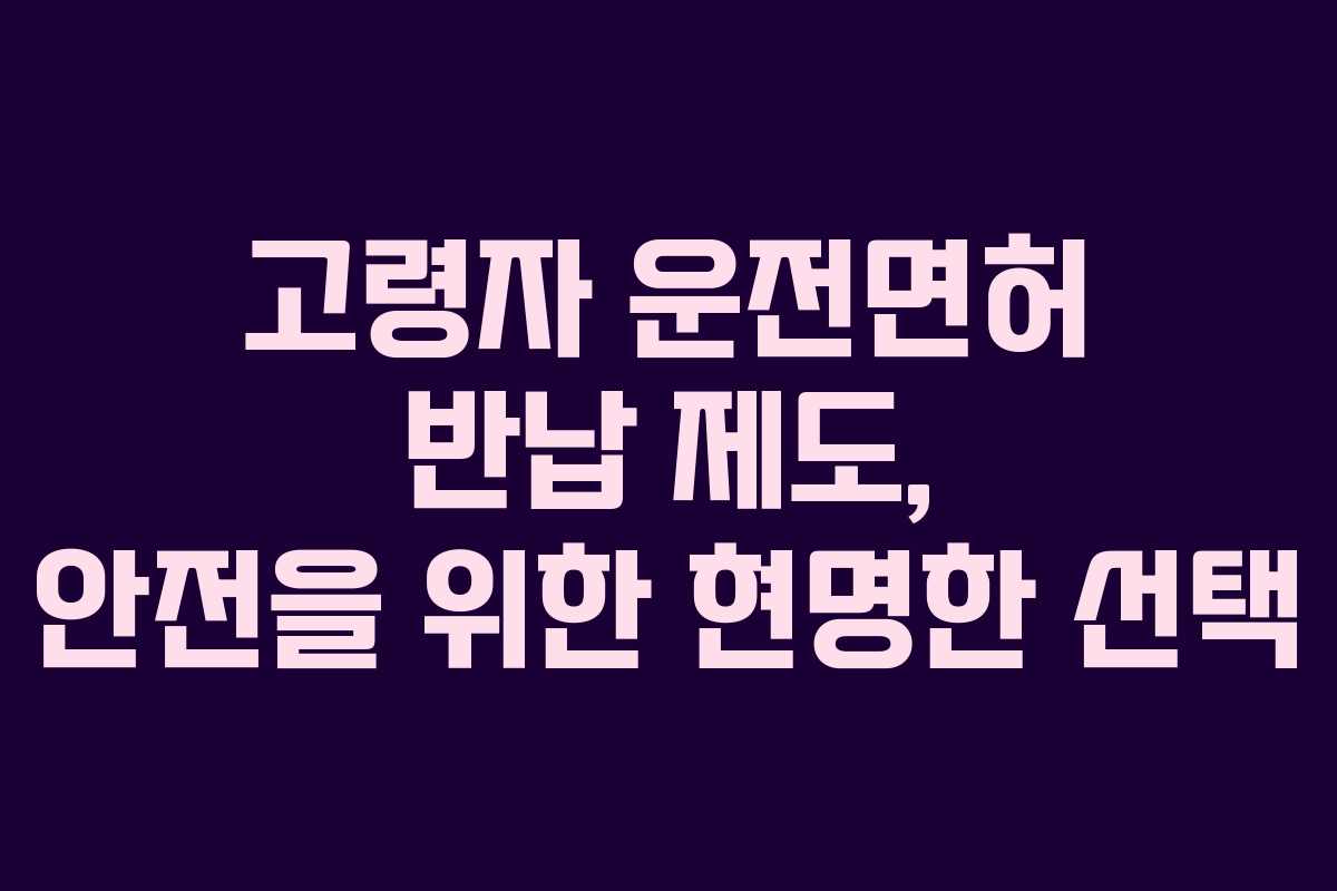 고령자 운전면허 반납 제도, 안전을 위한 현명한 선택