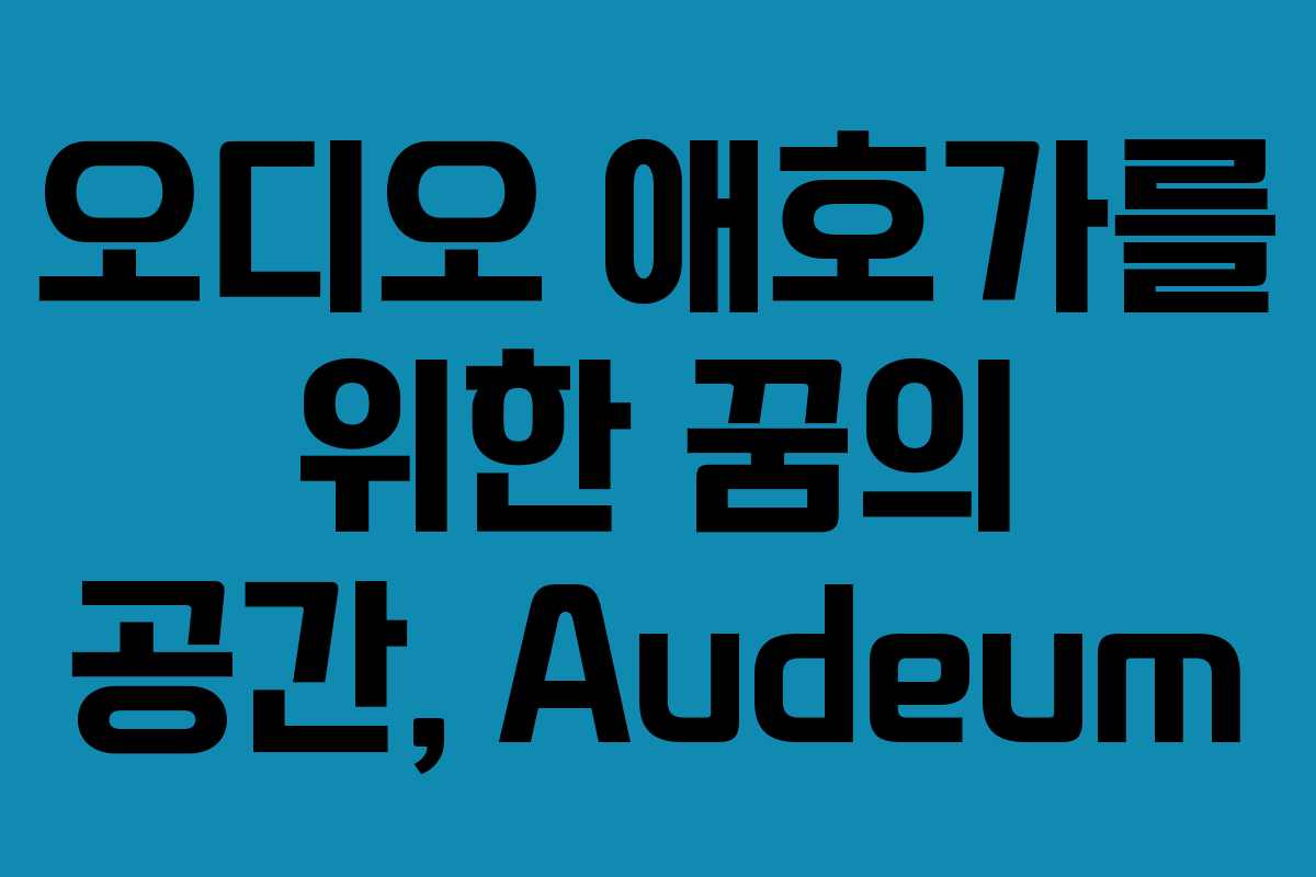오디오 애호가를 위한 꿈의 공간, Audeum