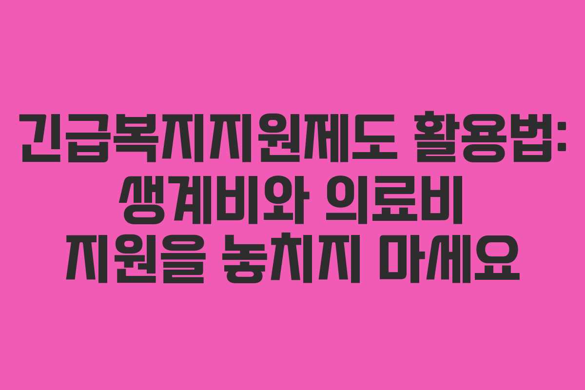 긴급복지지원제도 활용법: 생계비와 의료비 지원을 놓치지 마세요