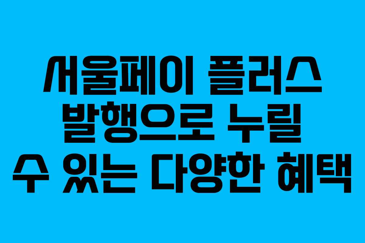 서울페이 플러스 발행으로 누릴 수 있는 다양한 혜택 서울페이 플러스 발행으로 누릴 수 있는 다양한 혜택