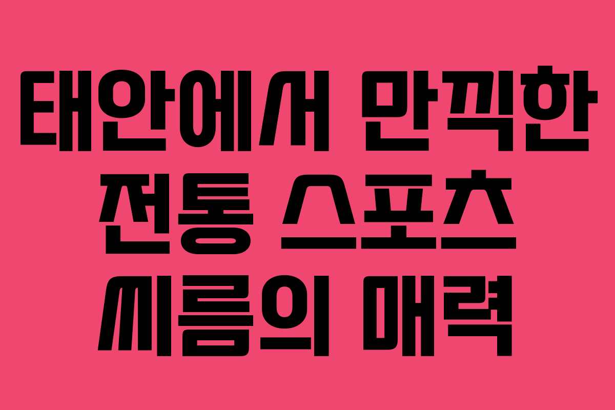 태안에서 만끽한 전통 스포츠 씨름의 매력 태안에서 만끽한 전통 스포츠 씨름의 매력