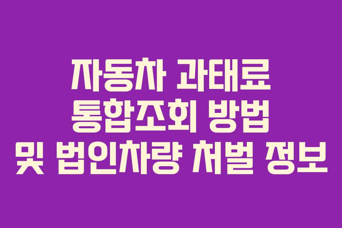 자동차 과태료 통합조회 방법 및 법인차량 처벌 정보