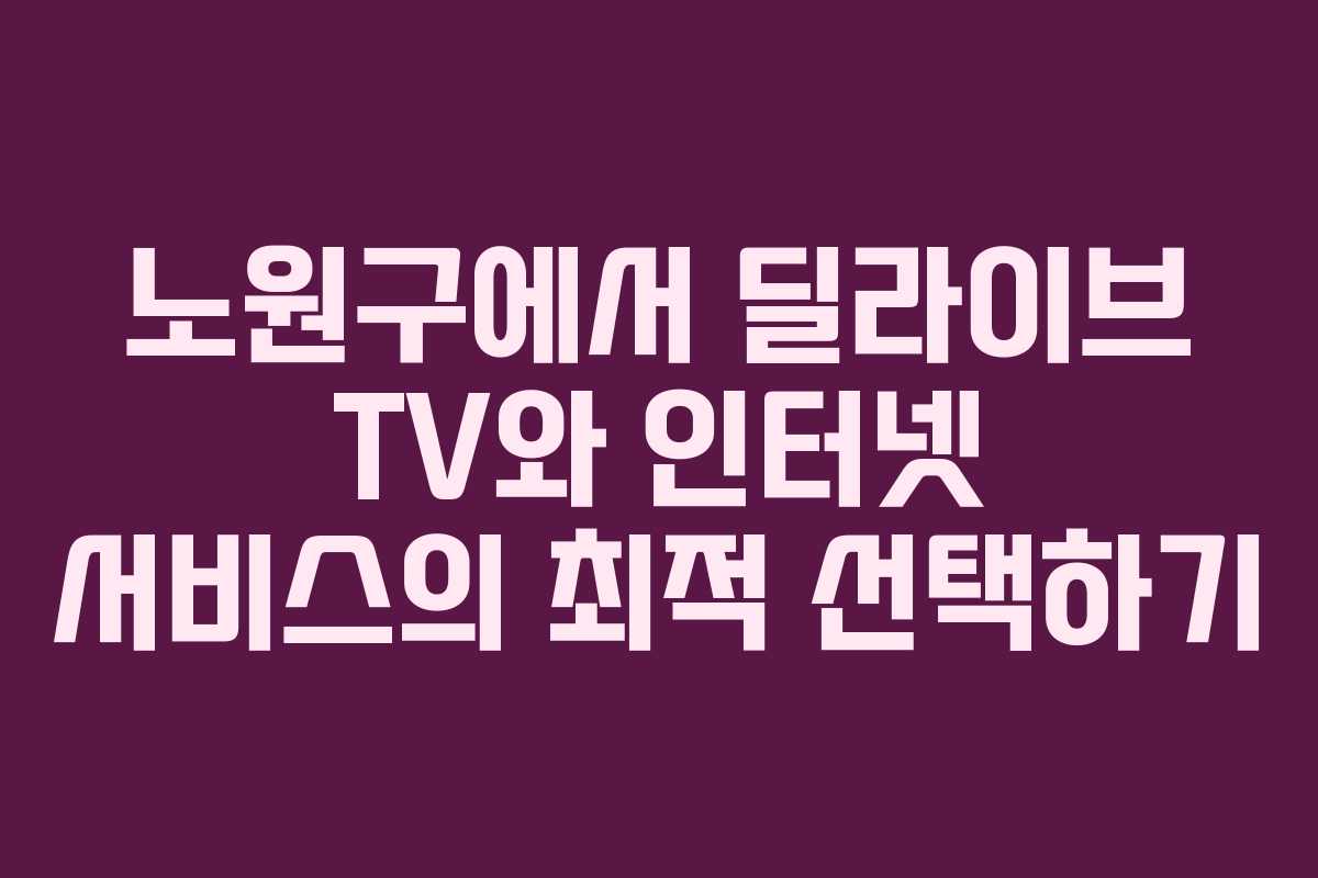 노원구에서 딜라이브 TV와 인터넷 서비스의 최적 선택하기