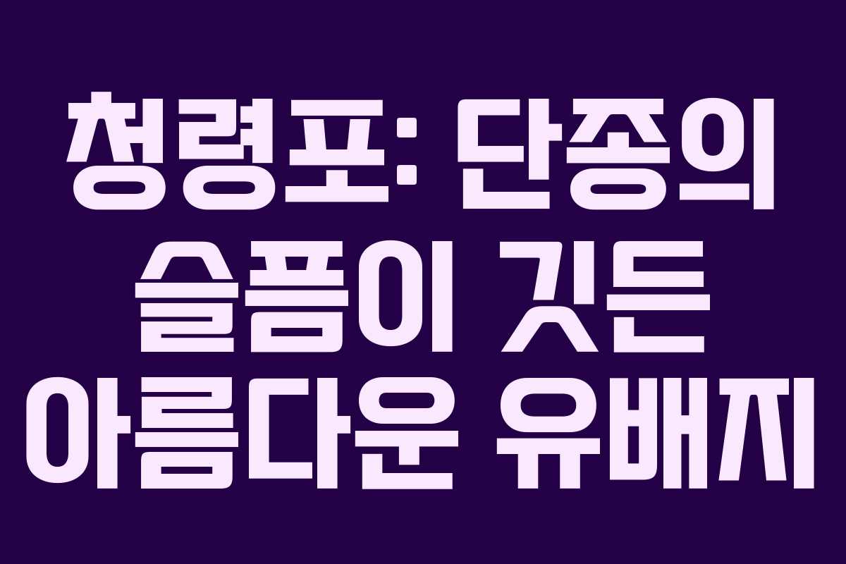 청령포: 단종의 슬픔이 깃든 아름다운 유배지 청령포: 단종의 슬픔이 깃든 아름다운 유배지