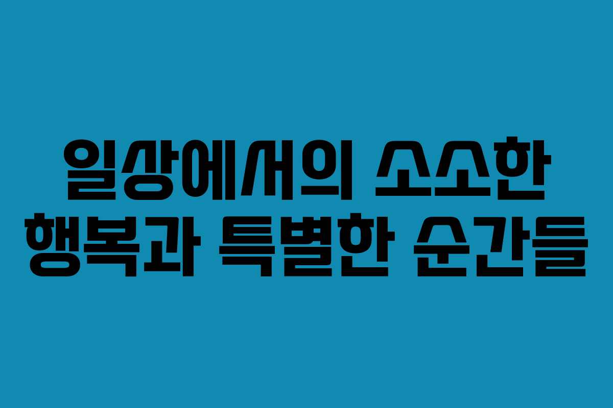 일상에서의 소소한 행복과 특별한 순간들