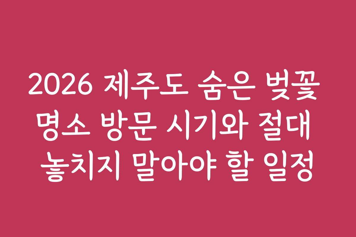2026 제주도 숨은 벚꽃 명소 방문 시기와 절대 놓치지 말아야 할 일정