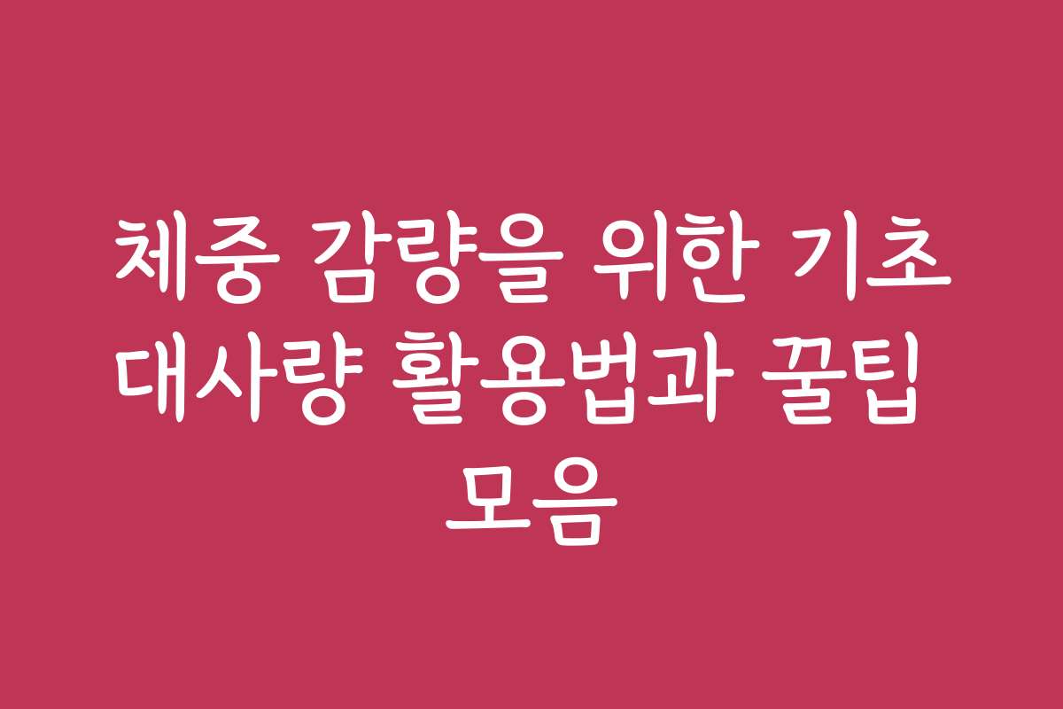 체중 감량을 위한 기초대사량 활용법과 꿀팁 모음