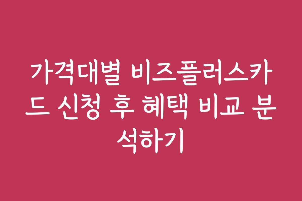 가격대별 비즈플러스카드 신청 후 혜택 비교 분석하기