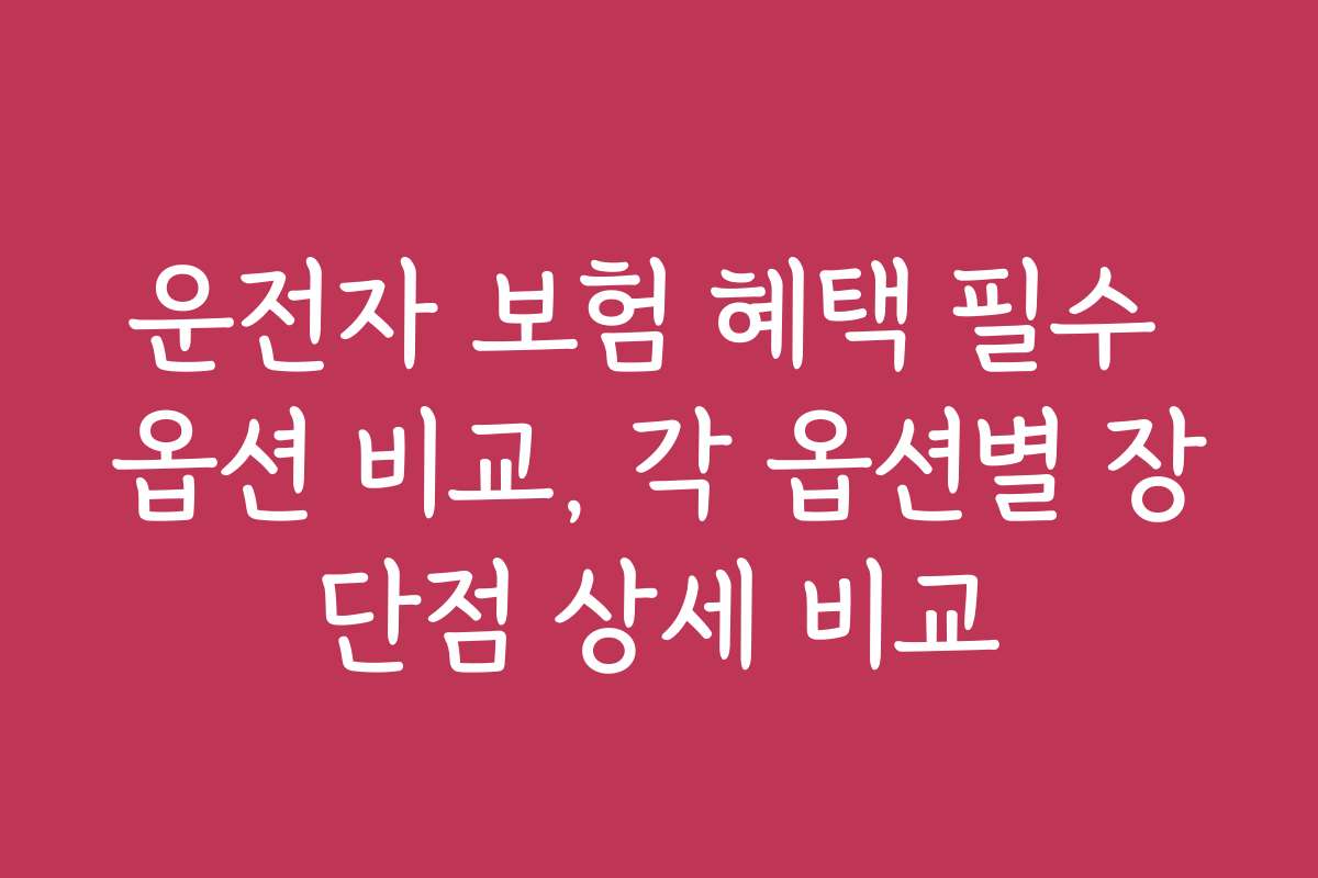 운전자 보험 혜택 필수 옵션 비교, 각 옵션별 장단점 상세 비교