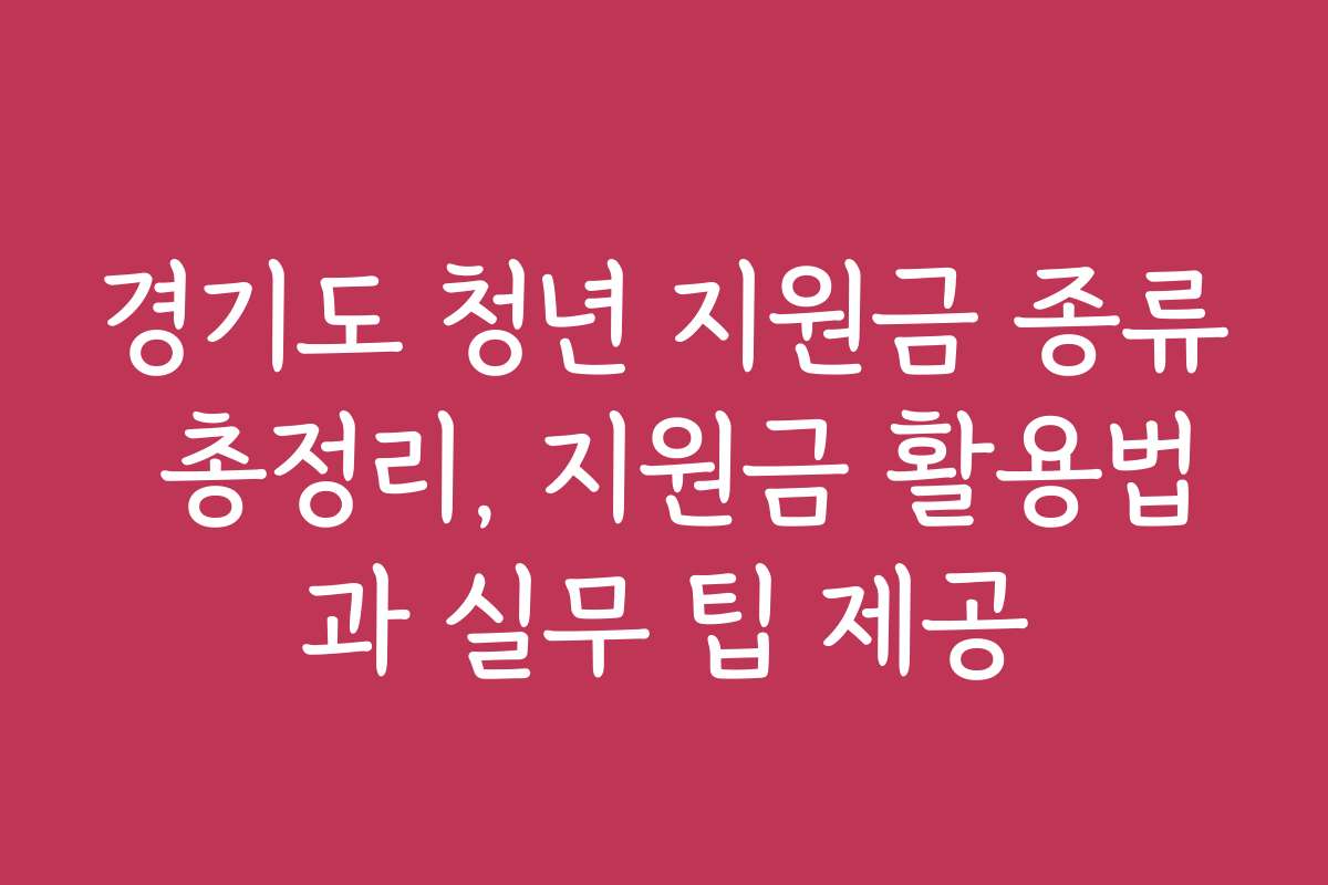 경기도 청년 지원금 종류 총정리, 지원금 활용법과 실무 팁 제공