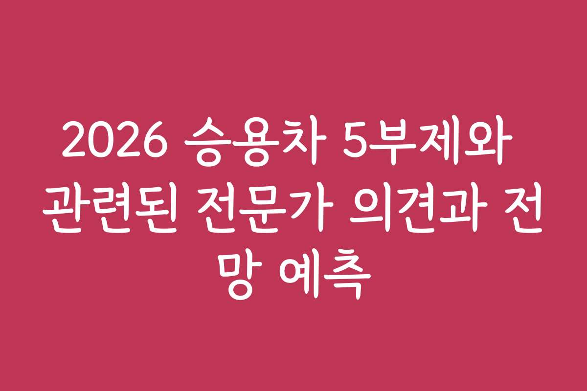 2026 승용차 5부제와 관련된 전문가 의견과 전망 예측