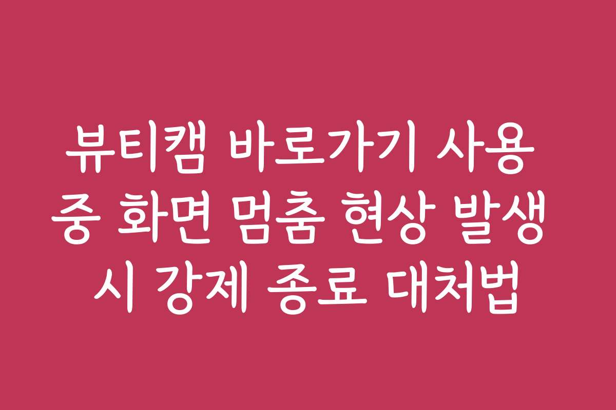 뷰티캠 바로가기 사용 중 화면 멈춤 현상 발생 시 강제 종료 대처법