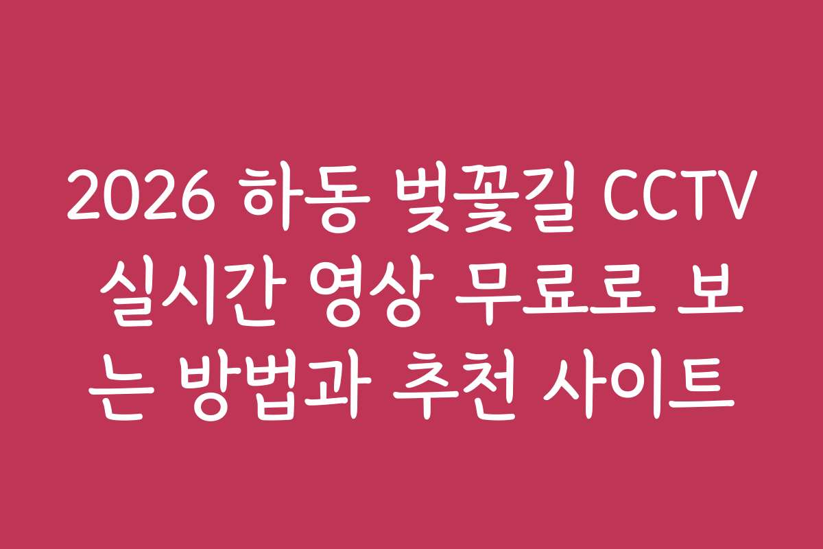 2026 하동 벚꽃길 CCTV 실시간 영상 무료로 보는 방법과 추천 사이트