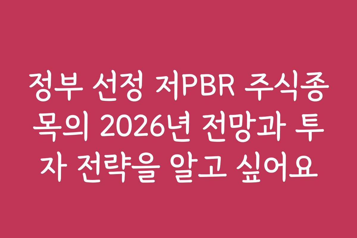 정부 선정 저PBR 주식종목의 2026년 전망과 투자 전략을 알고 싶어요