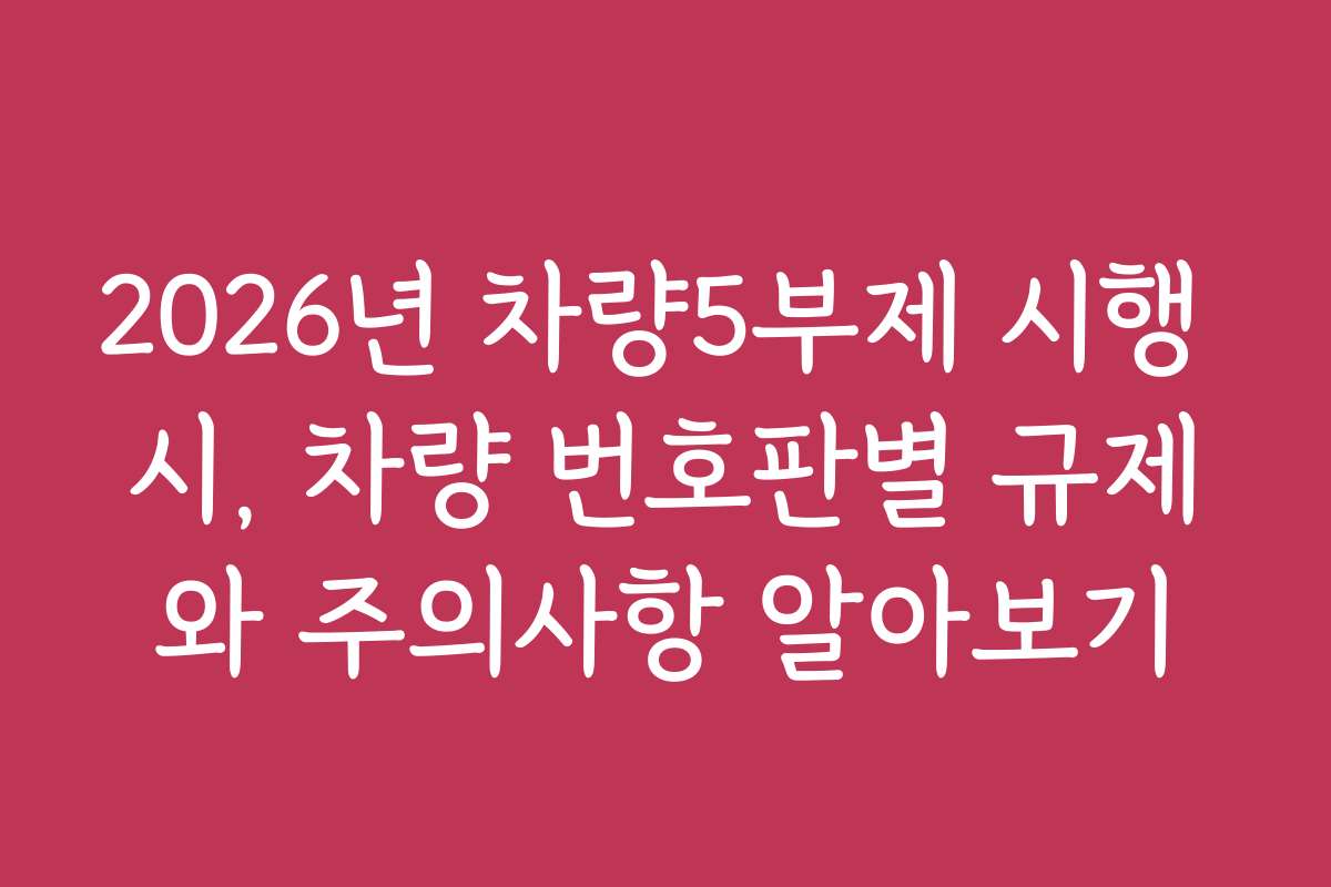 2026년 차량5부제 시행 시, 차량 번호판별 규제와 주의사항 알아보기