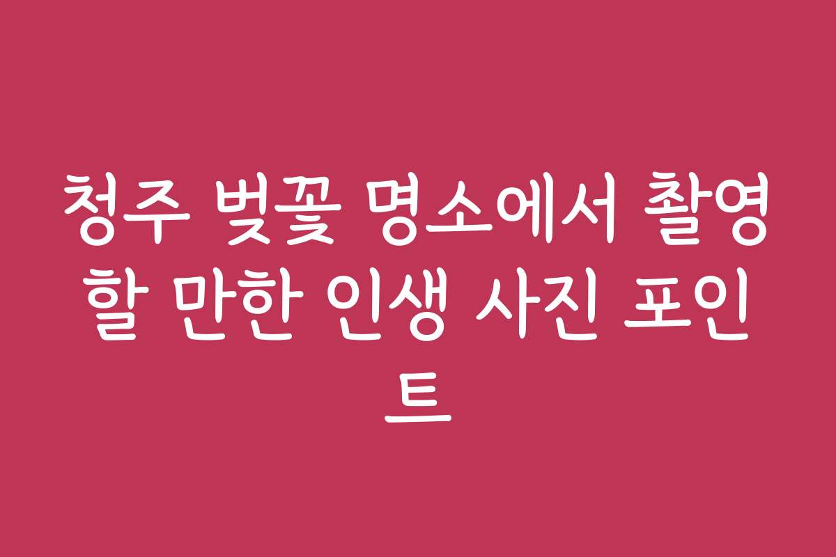 청주 벚꽃 명소에서 촬영할 만한 인생 사진 포인트