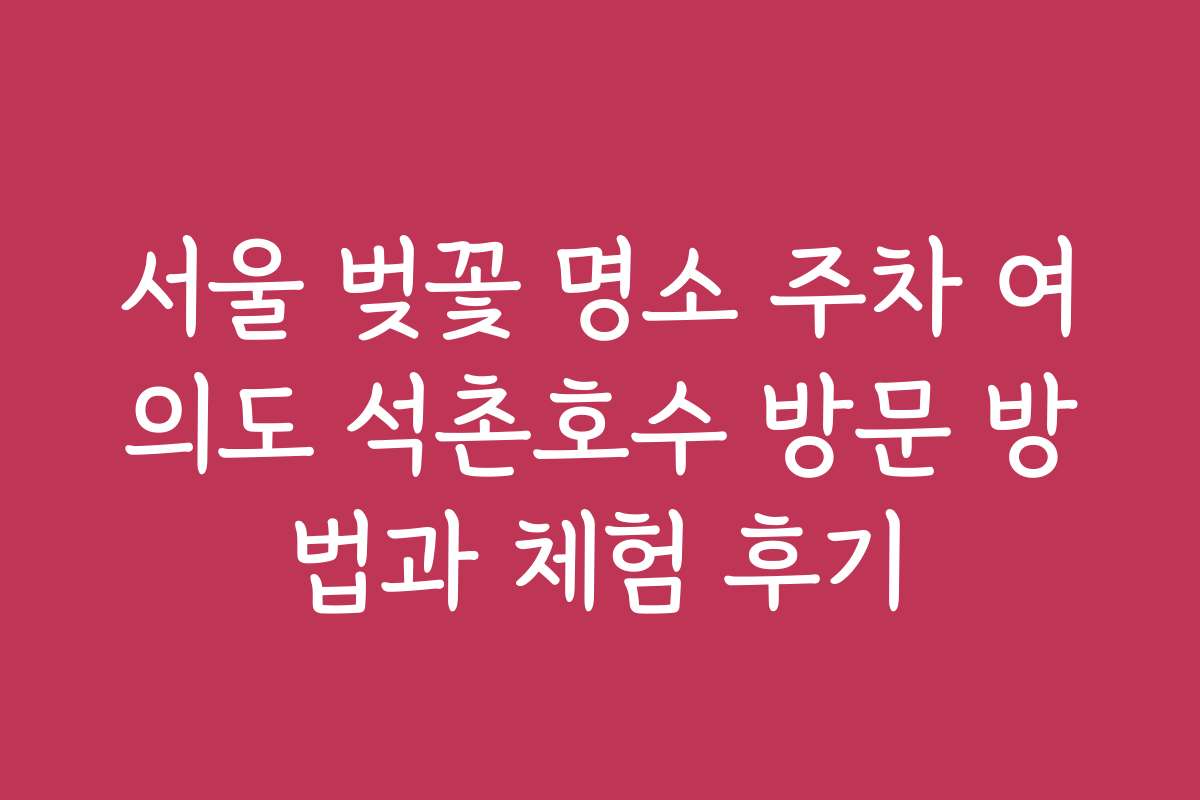 서울 벚꽃 명소 주차 여의도 석촌호수 방문 방법과 체험 후기 서울 벚꽃 명소 주차 여의도 석촌호수 방문 방법과 체험 후기