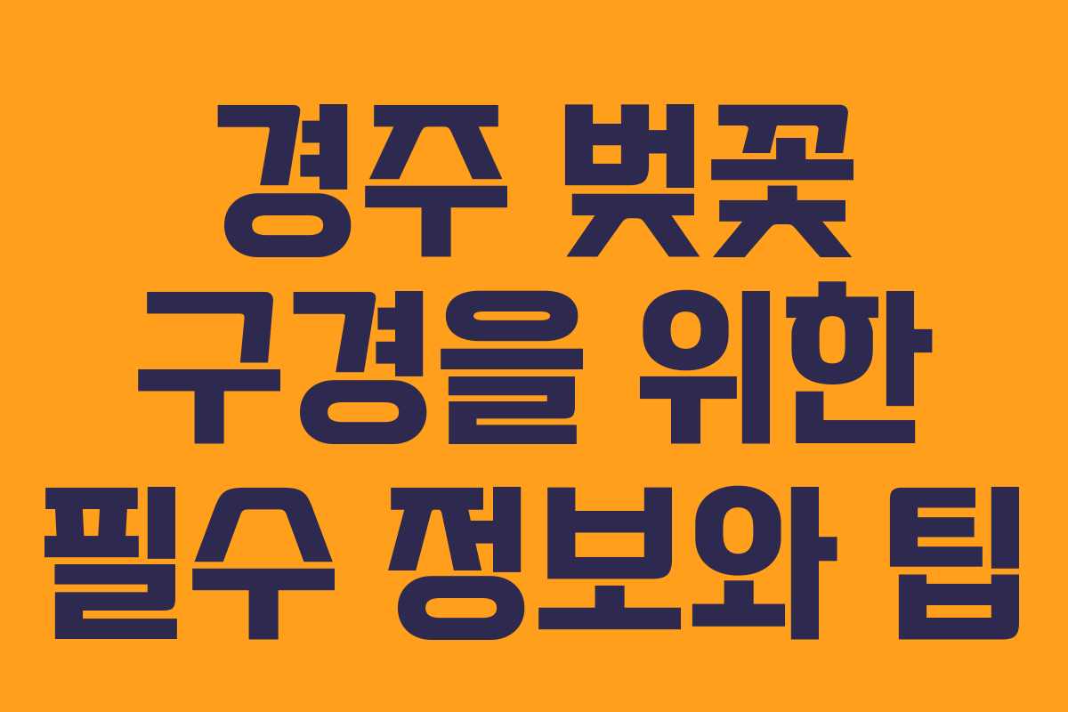 경주 벚꽃 구경을 위한 필수 정보와 팁 경주 벚꽃 구경을 위한 필수 정보와 팁