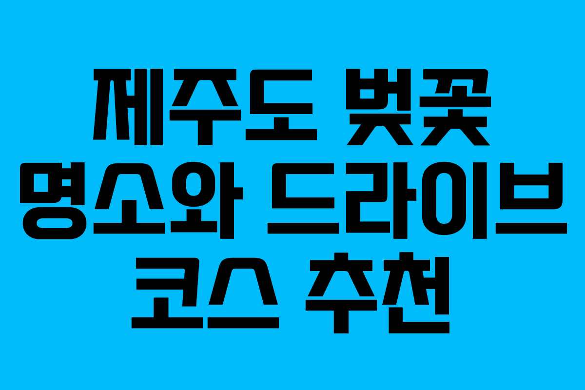 제주도 벚꽃 명소와 드라이브 코스 추천