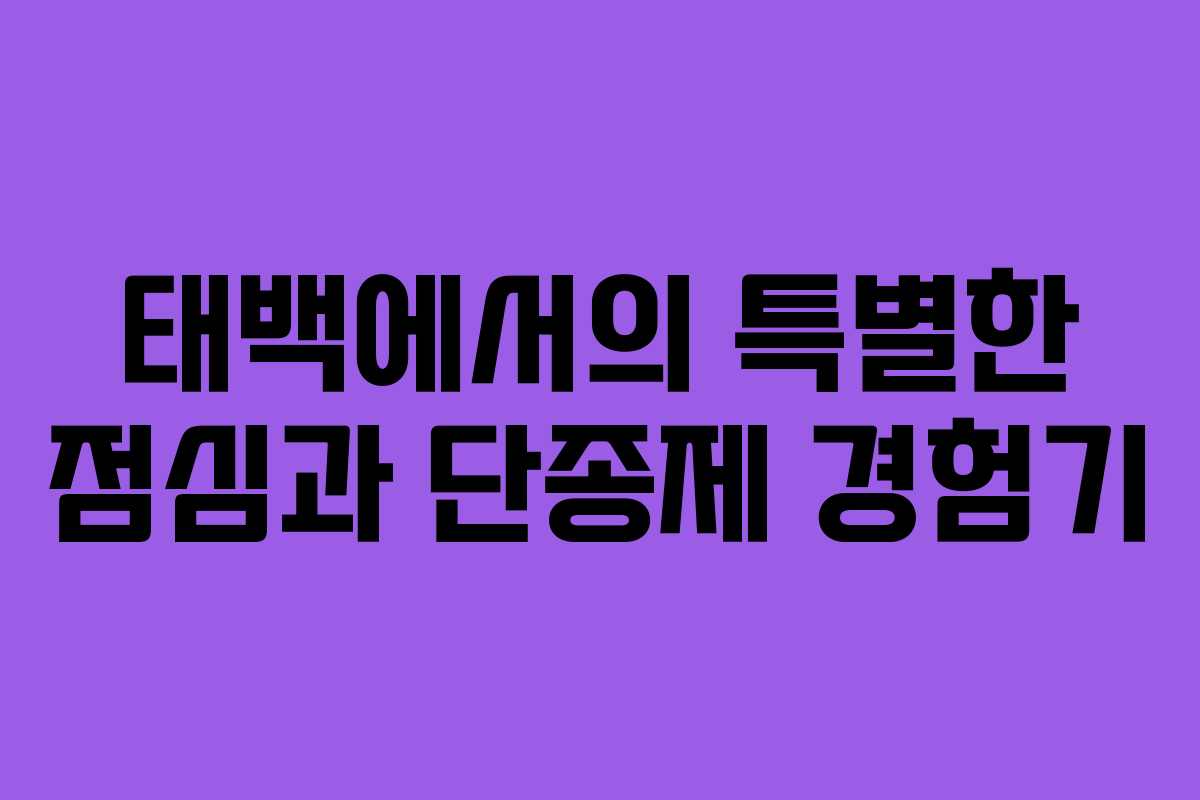 태백에서의 특별한 점심과 단종제 경험기