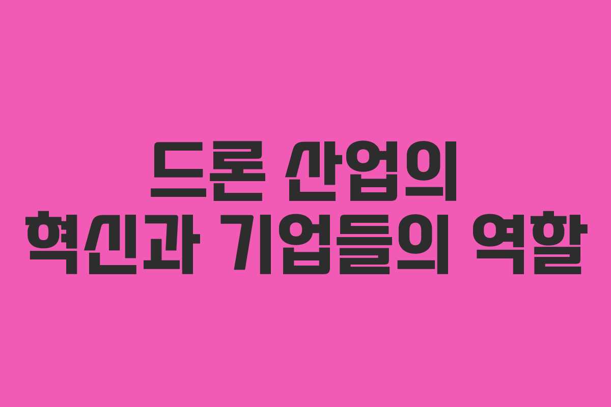 드론 산업의 혁신과 기업들의 역할