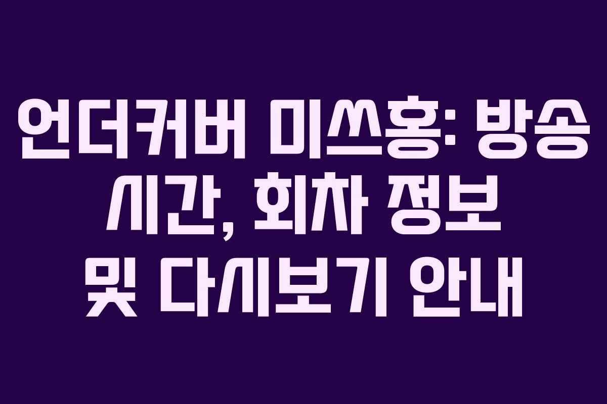 언더커버 미쓰홍: 방송 시간, 회차 정보 및 다시보기 안내