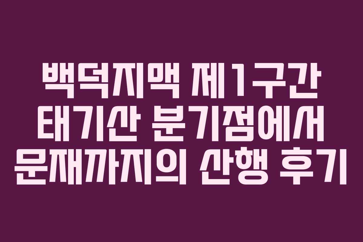 백덕지맥 제1구간 태기산 분기점에서 문재까지의 산행 후기